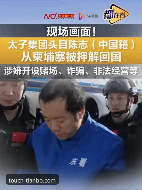 从“金元足球”到庭审现场：一位资深用户在天博体育平台追踪事件始末的完整指南